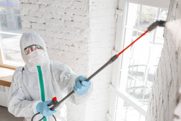  Bruce, MS Mold Removal Pros